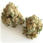 Шишки "White Widow" (Белая вдова) Гидропоника - Бошка VHQ в Балахне Шишки "White Widow" (Белая вдова) Гидропоника - Бошка VHQ в Балахне