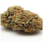 Шишки AK47 (Гидропоника, Бошка) VHQ в Балахне Шишки AK47 (Гидропоника, Бошка) VHQ в Балахне