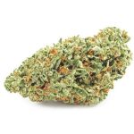 Шишки OG Kush (Гидропоника, бошки) VHQ в Балахне Шишки OG Kush (Гидропоника, бошки) VHQ в Балахне
